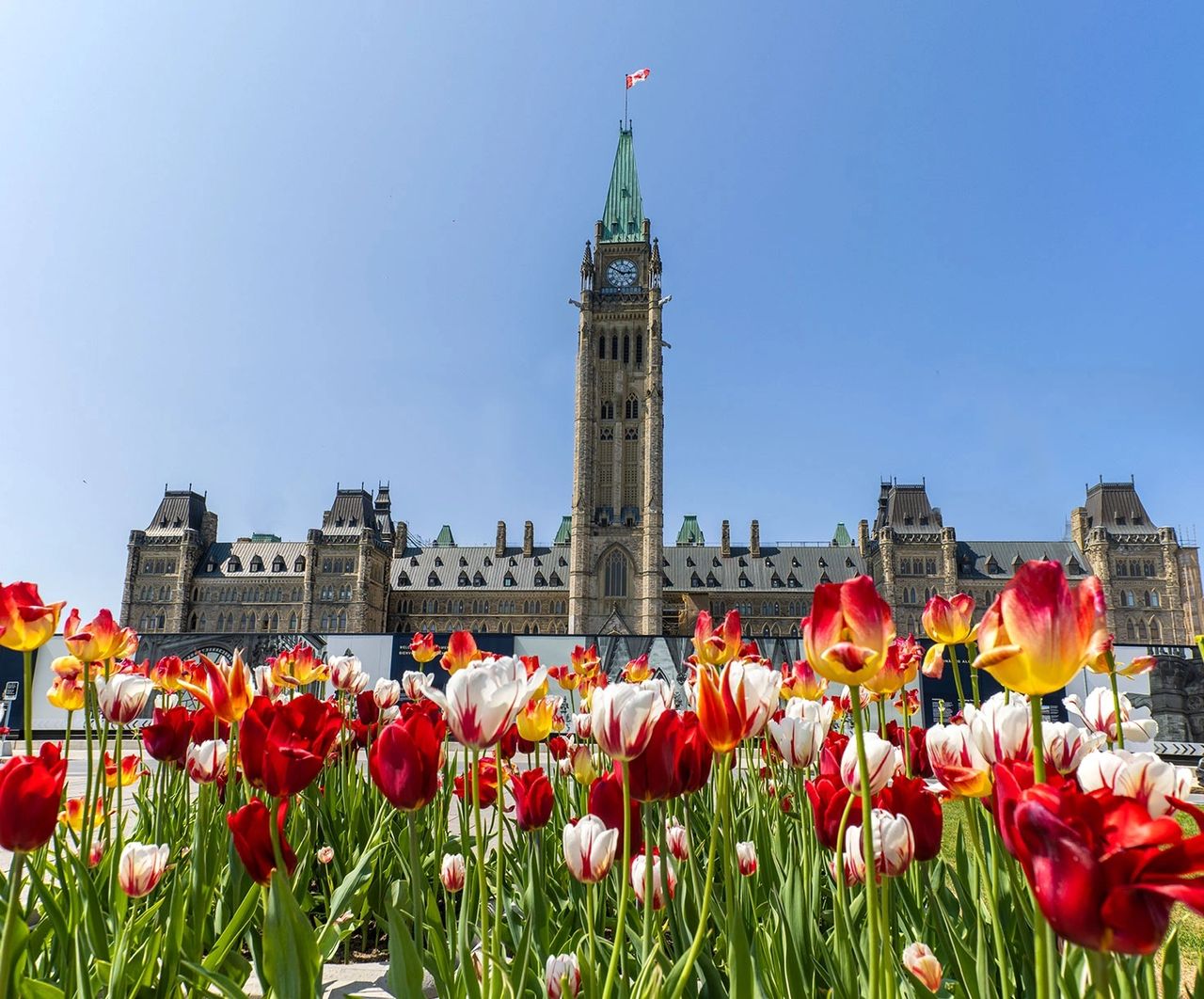 Canada holds its first healthcare Express Entry since July